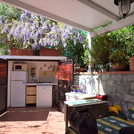 Apartment Silvana Fetovaia